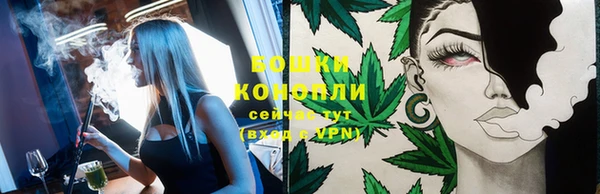 твердый Абаза