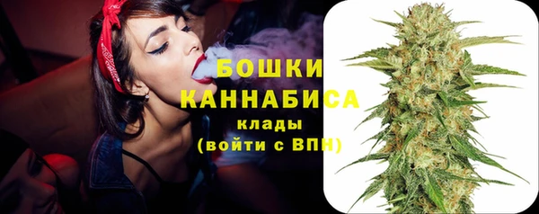 твердый Абаза