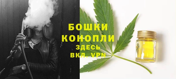 твердый Абаза