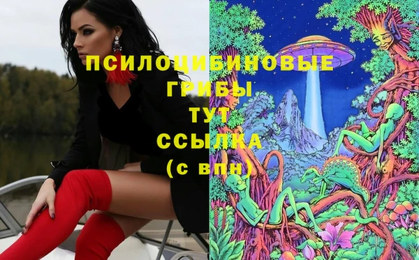 ECSTASY Абинск