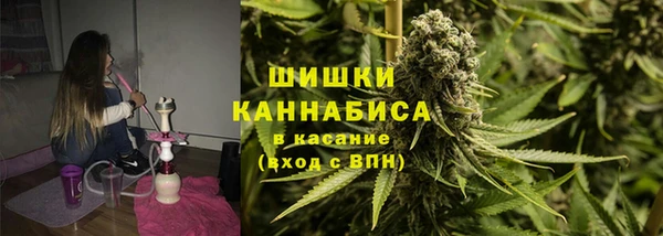 твердый Абаза